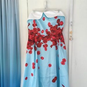 Brand new 50’s inspired rose and turquoise dress